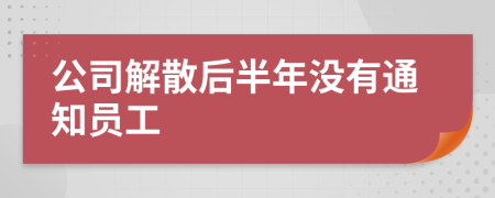 公司解散后半年没有通知员工