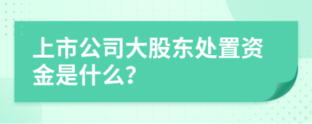 上市公司大股东处置资金是什么？