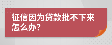 征信因为贷款批不下来怎么办？