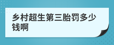 乡村超生第三胎罚多少钱啊