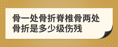 骨一处骨折脊椎骨两处骨折是多少级伤残