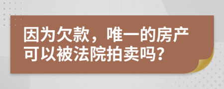 因为欠款，唯一的房产可以被法院拍卖吗？