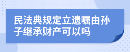 民法典规定立遗嘱由孙子继承财产可以吗