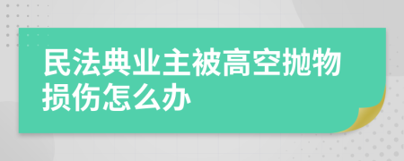 民法典业主被高空抛物损伤怎么办