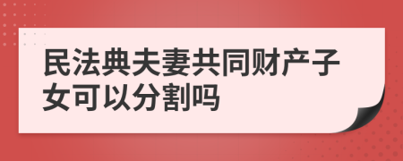 民法典夫妻共同财产子女可以分割吗