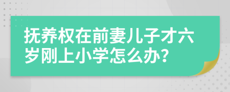 抚养权在前妻儿子才六岁刚上小学怎么办？