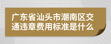 广东省汕头市潮南区交通违章费用标准是什么