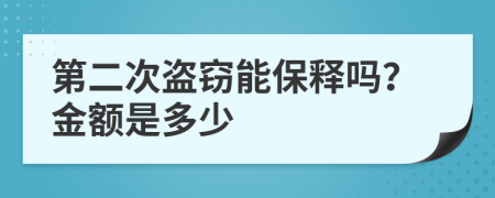 第二次盗窃能保释吗？金额是多少