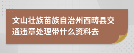 文山壮族苗族自治州西畴县交通违章处理带什么资料去