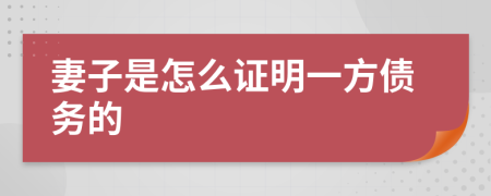 妻子是怎么证明一方债务的