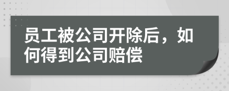 员工被公司开除后，如何得到公司赔偿