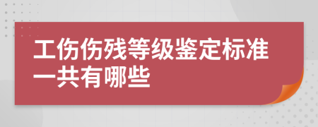 工伤伤残等级鉴定标准一共有哪些