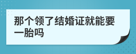 那个领了结婚证就能要一胎吗