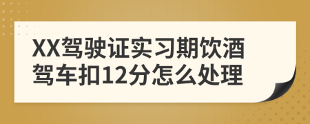 XX驾驶证实习期饮酒驾车扣12分怎么处理