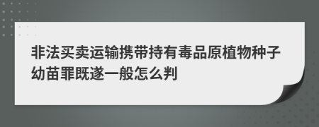 非法买卖运输携带持有毒品原植物种子幼苗罪既遂一般怎么判