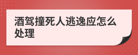 酒驾撞死人逃逸应怎么处理