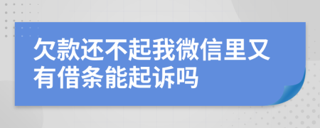 欠款还不起我微信里又有借条能起诉吗