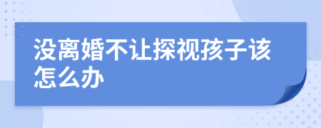 没离婚不让探视孩子该怎么办