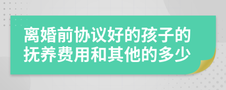 离婚前协议好的孩子的抚养费用和其他的多少