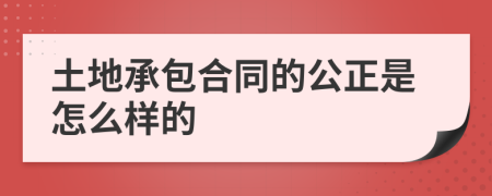 土地承包合同的公正是怎么样的