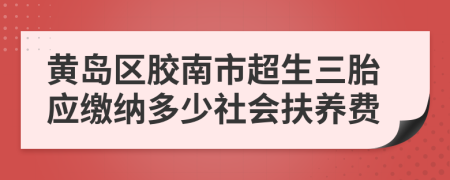 黄岛区胶南市超生三胎应缴纳多少社会扶养费