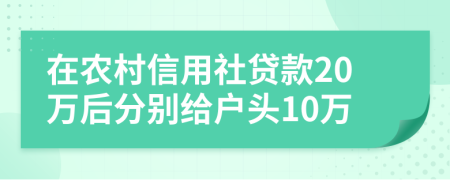 在农村信用社贷款20万后分别给户头10万