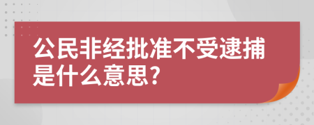 公民非经批准不受逮捕是什么意思?