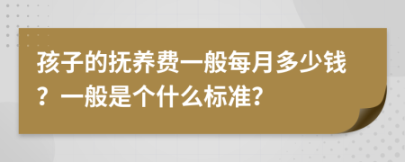 孩子的抚养费一般每月多少钱？一般是个什么标准？