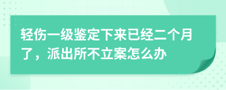 轻伤一级鉴定下来已经二个月了，派出所不立案怎么办