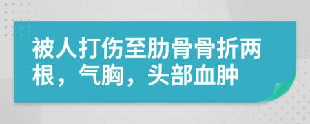 被人打伤至肋骨骨折两根，气胸，头部血肿