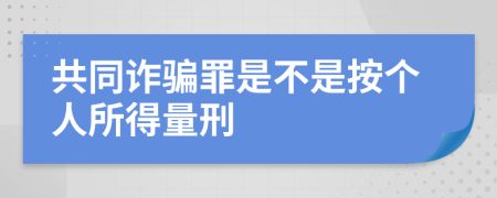 共同诈骗罪是不是按个人所得量刑