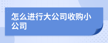 怎么进行大公司收购小公司