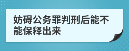 妨碍公务罪判刑后能不能保释出来