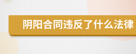 阴阳合同违反了什么法律