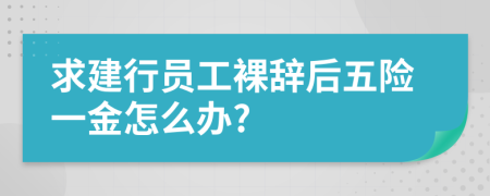 求建行员工裸辞后五险一金怎么办?