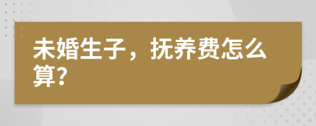 未婚生子，抚养费怎么算？