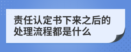 责任认定书下来之后的处理流程都是什么