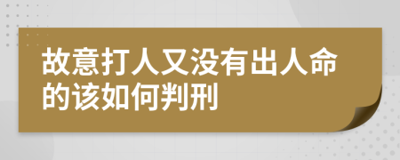 故意打人又没有出人命的该如何判刑