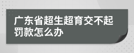 广东省超生超育交不起罚款怎么办