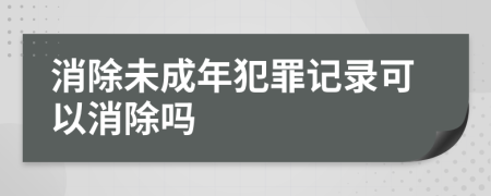 消除未成年犯罪记录可以消除吗