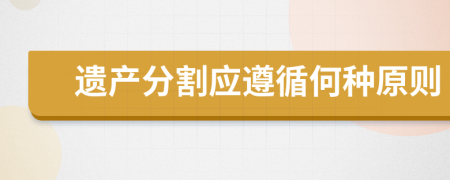 遗产分割应遵循何种原则