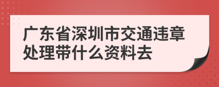 广东省深圳市交通违章处理带什么资料去