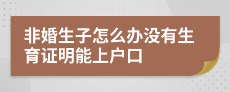 非婚生子怎么办没有生育证明能上户口
