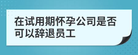 在试用期怀孕公司是否可以辞退员工