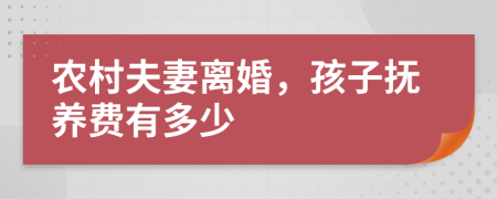 农村夫妻离婚，孩子抚养费有多少