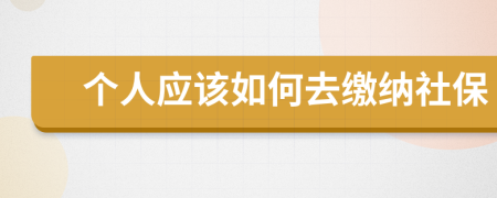 个人应该如何去缴纳社保