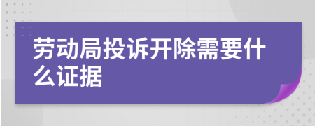 劳动局投诉开除需要什么证据