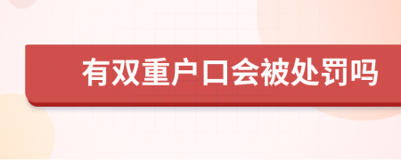 有双重户口会被处罚吗