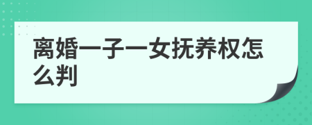 离婚一子一女抚养权怎么判