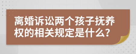 离婚诉讼两个孩子抚养权的相关规定是什么？